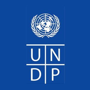 UNDP Chad